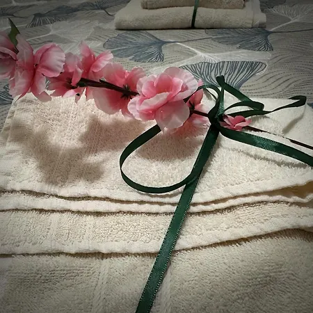 Residenza Dei Consoli 公寓 罗马